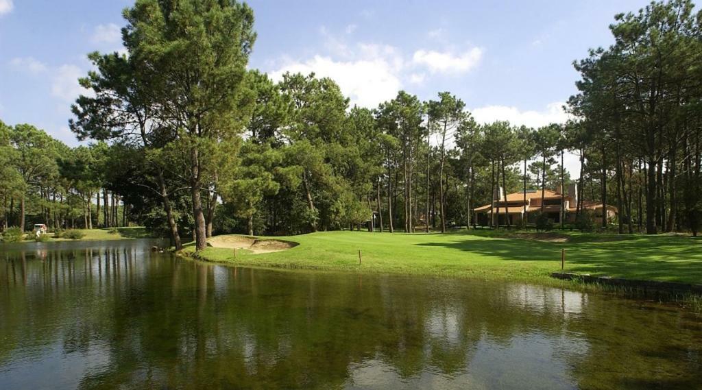 Sea Breeze Golf & Beach Villa ชาร์เนกา ภายนอก รูปภาพ