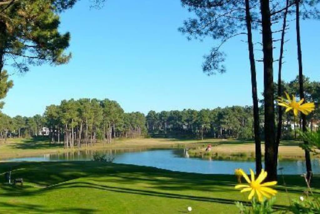 Sea Breeze Golf & Beach Villa ชาร์เนกา ภายนอก รูปภาพ